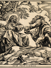 [명헌대만] 나 네발로 기는 거 잘해