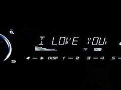 🖤 자유로운 날개를 펼치며