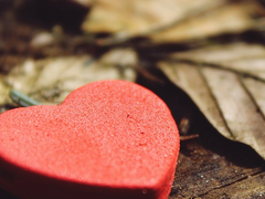 우린 다시 사랑할 수 있을까 .00