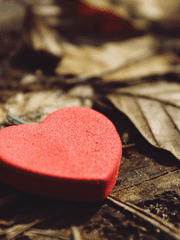 [다각] 우린 다시 사랑할 수 있을까