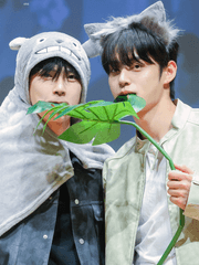 김형제와 햄스터