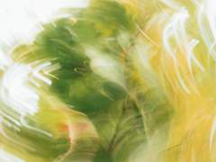 불행運총량보존의 법칙 上