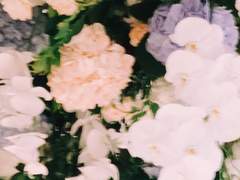 0827 시그니엘 꽃