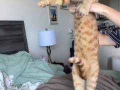 17금 유머/농담/개그/드립/짤 모음.zip