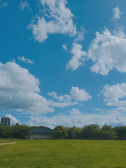 8월 뭐하고 지내