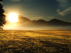 새벽의 최전선을 달리는,