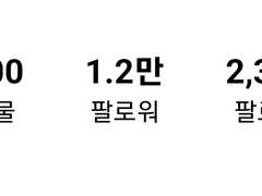 인스타 1.2만 팔로워 분석 (ft.1천)