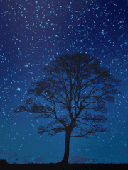 [팡푸] 우린 제법 잘 어울려요