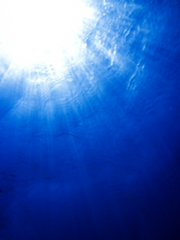 우울과 균형의 저울