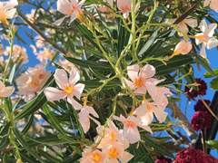 [명태우/우태명] 선택