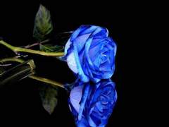 맢42 트윗썰 백업 (7월)