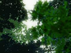 나에게 차였을 때 최애의 반응