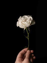 티키타카 대학생활