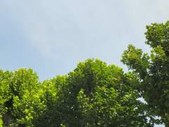 자신을 위해 살아갈 자신이 없다면