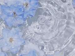 고요한 바다에서 들려오는 목소리🌊