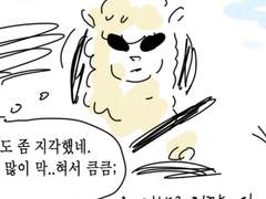 노아네 알파카 만화