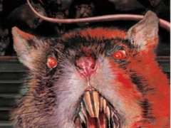 2H84) 엑스 스피시즈 (Altered Species, 2001)