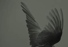 [중혁독자] 뮤즈 #3