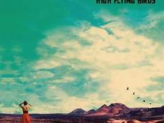 If Love Is the Law - Noel Gallagher