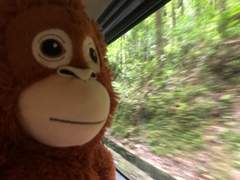 002. 각자의 특별