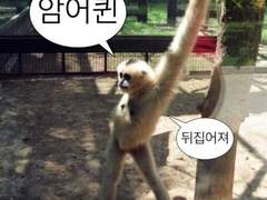 등장인물 프로필