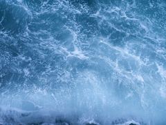 [BL] 카이랄리티(Chirality)