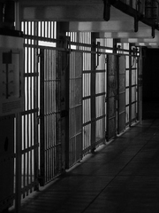 양치기 소년 리턴즈