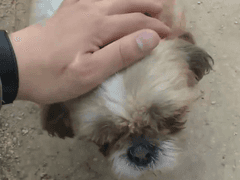 [브베TV다시보기] 브베 야외방송 통합본 스페셜 (01) - 3of3