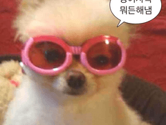 INFP 남자 꼬시는 법 1화