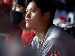 혹시 무슨 학과세여