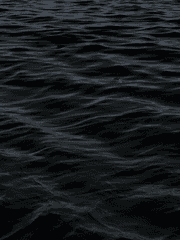 특이수사대응기관