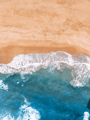 백작가의 망나니가 되었다.