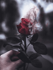 이게 사랑이라면,