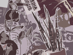 SWEET, SALTY, BITTER