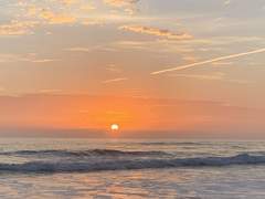 오렌지 태양 아래