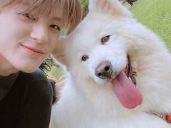 아이고~ 우리 사모예드!