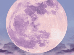 상냥한 한 마리의 오소리야, 라며 네 이름을 불렀다.