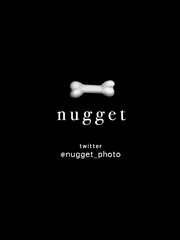 nugget_photo
