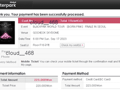 블랙핑크 콘서트 (1)