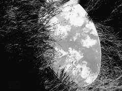 결말로 예정된 폭사를 알면서도 애써 모른척 달려가는 삶이란