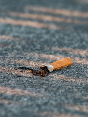 [현제유진]철야 좀 안 하게 해주세요