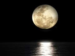 단 하나의 부탁