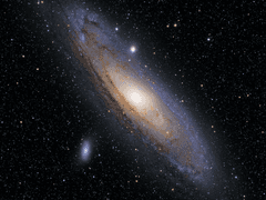 독의 꽃이 피었습니다. 1편