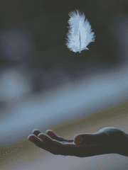 천사가 내려왔다