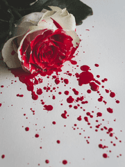 뫼비우스 아이러니