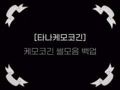 [타카케모코긴] 케모코긴 썰모음 백업 (23.08.11 업데이트)