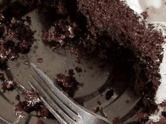 케이크 찾기 대작전🍰