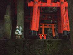 D+187 교토 방문_진짜_진짜_마지막_최최종.