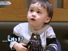 육묘일기 TALK! 🐱🐱