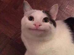 육묘일기 TALK! 🐱🐱🐱